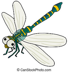 Dragonfly Stock Illustrations. 5,355 Dragonfly clip art images and