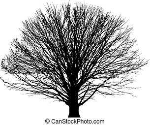 Vector Clip Art of bare tree vector background with space for text