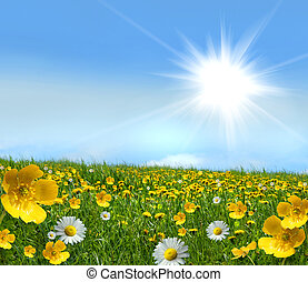 Field of Flowers Clip Art – Cliparts