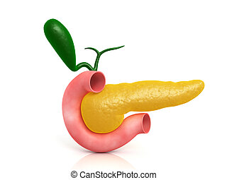 Pancreas Illustrazioni e clipart.3.800 Pancreasillustrazioni e disegni