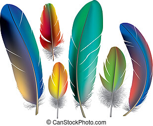 Colorful Feather Clip Art – Cliparts