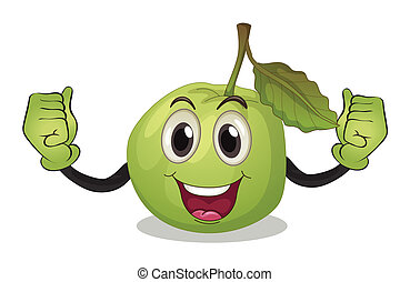 Guava Illustrations and Clip Art. 542 Guava royalty free illustrations