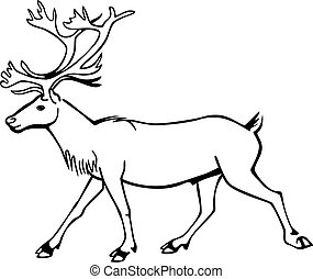 Caribou Stock Illustration Images. 608 Caribou illustrations available