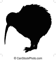 Kiwi bird Vector Clip Art EPS Images. 344 Kiwi bird clipart vector