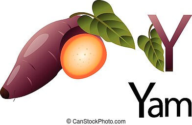 Yam Clipart Vector and Illustration. 245 Yam clip art ...