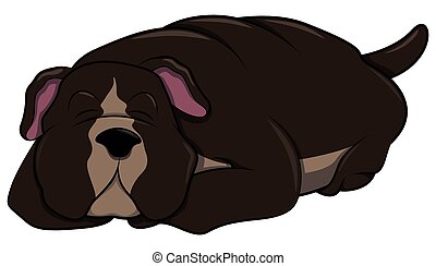 Pitbull Illustrations and Stock Art. 279 Pitbull illustration and