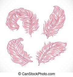 Feather boa Vector Clipart EPS Images. 25 Feather boa clip art vector