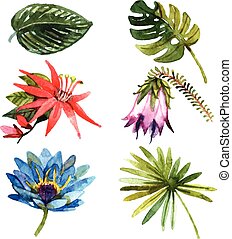 Tropical rainforest Vector Clip Art EPS Images. 2,227 Tropical