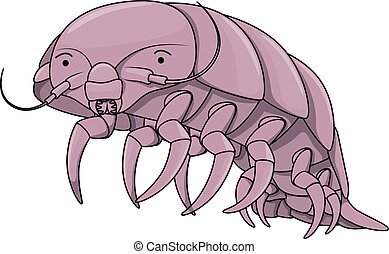 Isopod Stock Illustrations. 6 Isopod clip art images and royalty free