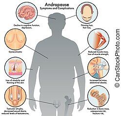 Testicular Atrophy Clipart Vector Graphics Testicular Atrophy Eps