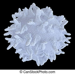 White blood cell Illustrations and Clipart. 2,388 White blood cell