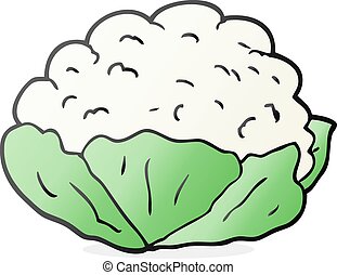 Cauliflower Illustrations and Stock Art. 1,763 Cauliflower illustration