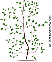 Sapling Vetor de Ilustrações e clipart.1.175 Sapling Clip Art Royalty