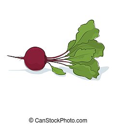 Root vegetable Illustrations and Clipart. 5,137 Root vegetable royalty