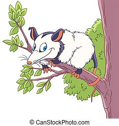 Opossum Clipart and Stock Illustrations. 149 Opossum vector EPS