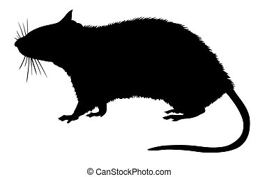 Ratto Illustrazioni E Clip Art. 8.440 Ratto Illustrazioni, Disegni E ...