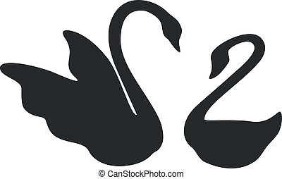swan couple black 01 - swan couple in black 01