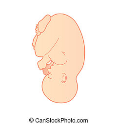 Embryo Vector Clipart Royalty Free. 1,234 Embryo clip art vector EPS