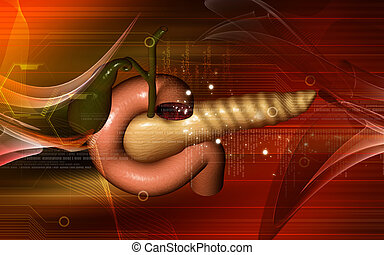 Pancreatic Illustrations and Clip Art. 621 Pancreatic royalty free