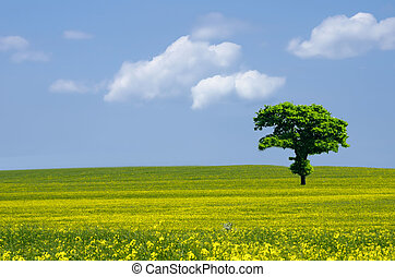 Prairie Illustrations and Stock Art. 847 Prairie illustration and