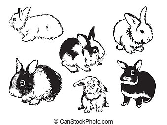 Floppy ears Stock Illustrations. 106 Floppy ears clip art images and