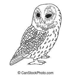 Owl Vector Clipart Royalty Free. 20,074 Owl clip art vector EPS ...