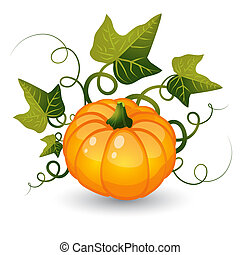 Pumpkin stem Illustrations and Clipart. 1,315 Pumpkin stem royalty free ...