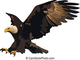 Landing eagle Vector Clip Art Illustrations. 299 Landing eagle clipart ...