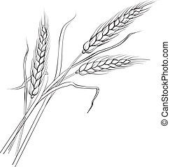 Wheat sheaf Vector Clipart Illustrations. 525 Wheat sheaf clip art ...