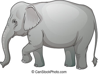 Stock Illustration of An elephant cow standing isolated ...