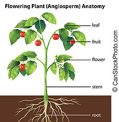 Tomato plant Clip Art Vector and Illustration. 4,629 Tomato plant