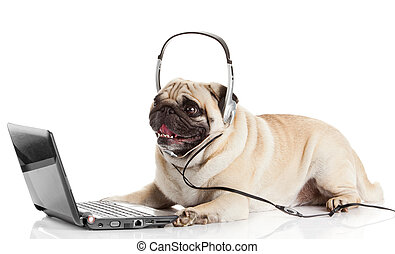 Funny call center operator Stock Photo Images. 342 Funny call center ...