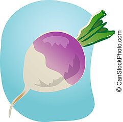 Turnip Illustrations and Clip Art. 865 Turnip royalty free