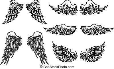 Hawk wings Vector Clipart EPS Images. 2,849 Hawk wings clip art vector ...