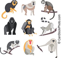 animal tatou livre Ouistitis. et graphiques de 180 Illustrations clipart Art