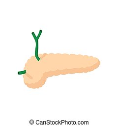 Drawing of human pancreas - 3d rendered illustration of human pancreas