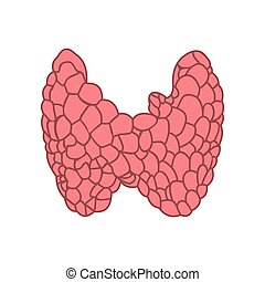 Endocrinology Vector Clip Art EPS Images. 32 Endocrinology clipart ...