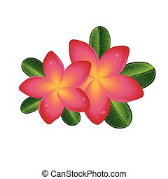 Lei Clipart and Stock Illustrations. 212 Lei vector EPS illustrations ...