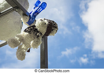 washing machine teddy bear