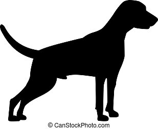 Weimaraner Vector Clip Art Illustrations. 27 Weimaraner clipart EPS