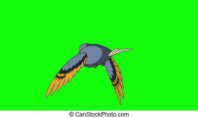 Blue bird flies. back view. animated looped motion graphic isolated on  green screen. | CanStock