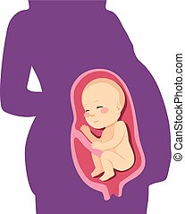 Womb Illustrations and Clip Art. 1,562 Womb royalty free ...