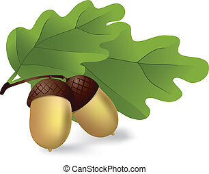 Image result for leaves acorns clipart