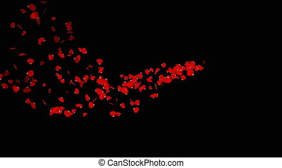 Floating petals on a black background. Floating petals on a black background,  art video illustration. | CanStock