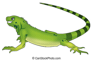 Iguana Clip Art and Stock Illustrations. 1,725 Iguana EPS illustrations