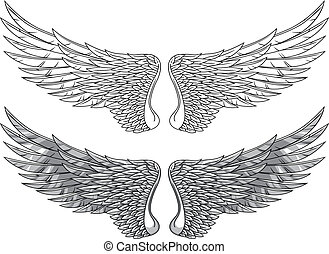 Hawk wings Vector Clipart EPS Images. 3,429 Hawk wings clip art vector ...