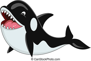 Orca Vector Clipart Illustrations. 568 Orca clip art vector EPS