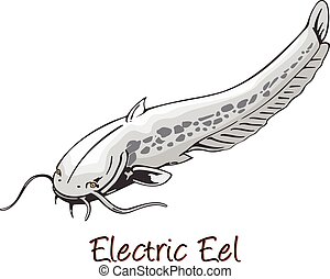 Electric eel Vector Clipart EPS Images. 80 Electric eel clip art vector ...